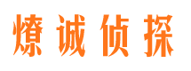 陈仓市侦探公司